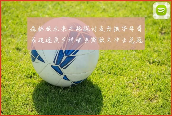 森林狼未来之路探讨麦丹换字母哥或追逐莫兰特福克斯欧文冲击总冠军